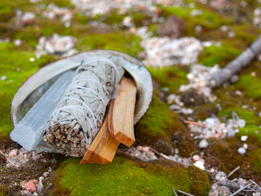 Smudge Kit with Ceramic Bowl OR Abalone Shell