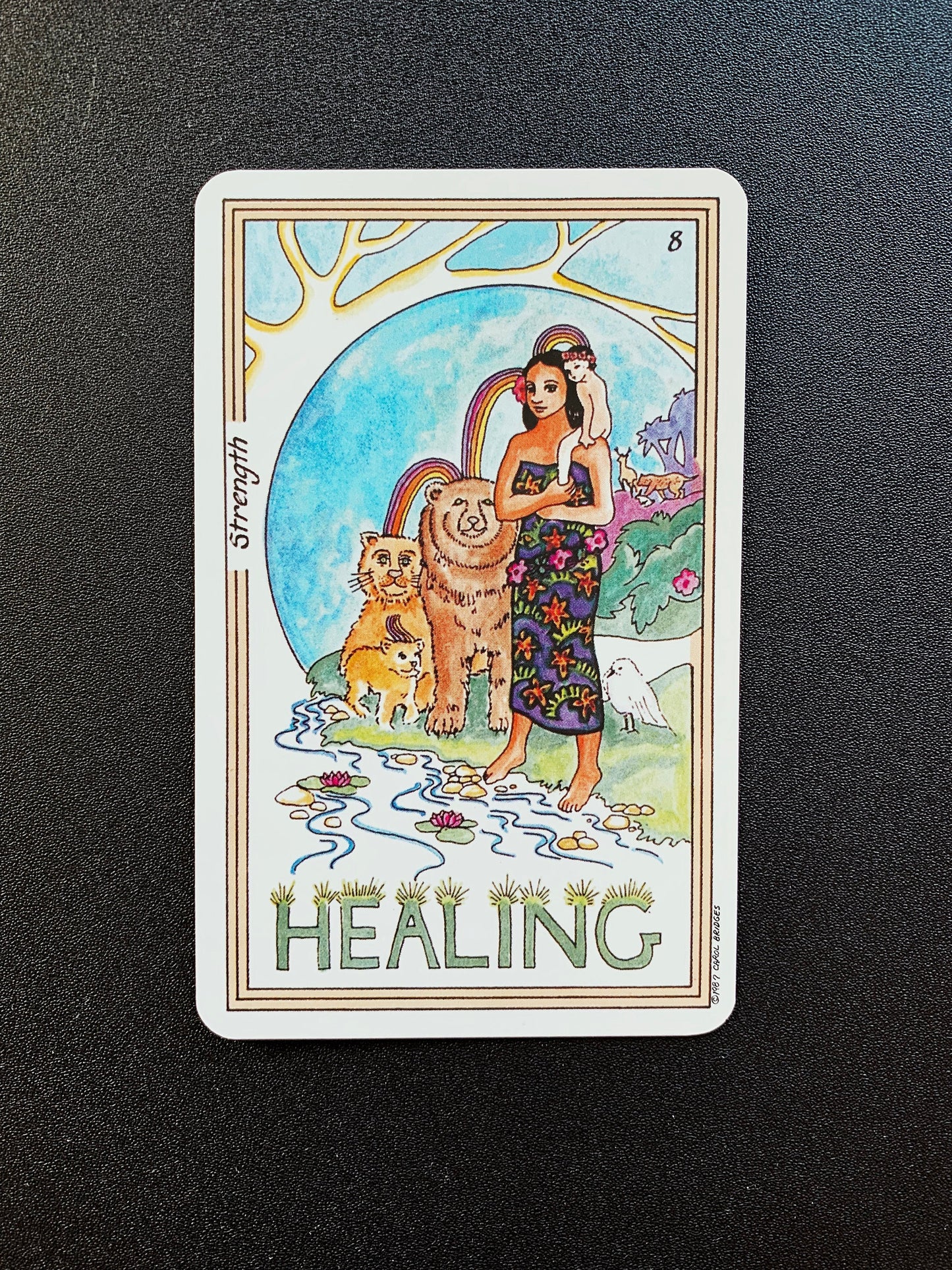 Medicine Woman Tarot Deck AND Inner Guidebook